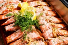 Salmon Fillets